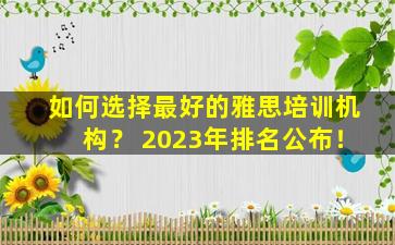 如何选择最好的雅思培训机构？ 2023年排名公布！